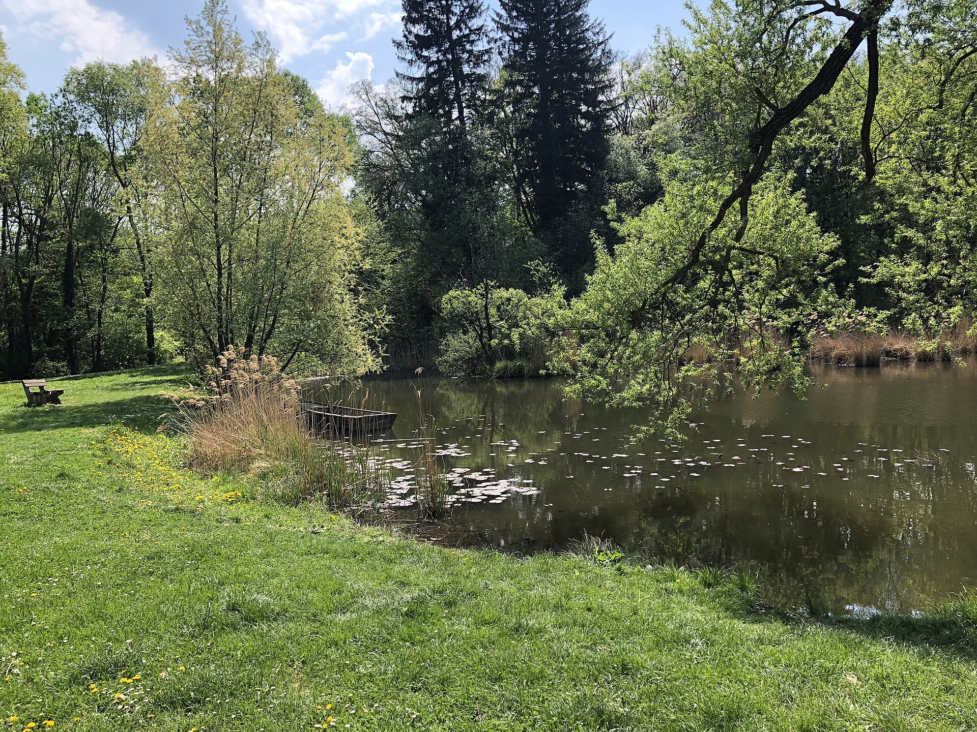 Fischteich mit Wiese und Bäumen in Gaaden bei Mödling